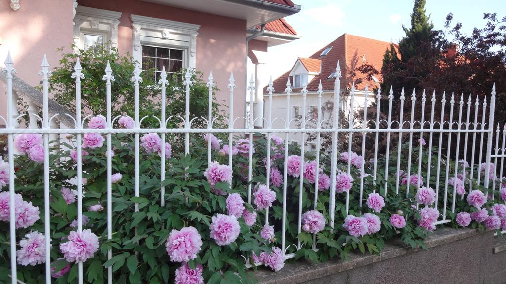 Valloris Apartments Heviz Ngoại thất bức ảnh